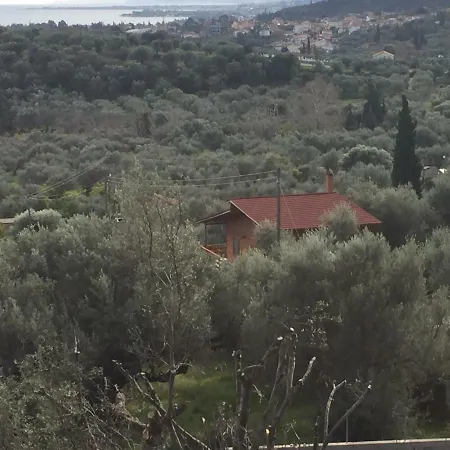 Wooden House With Amazing View